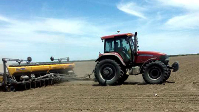 Avanza lentamente la siembra de algodón en los campos chaqueños