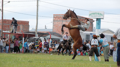 Muere un joven jinete aplastado por su caballo en un festival de doma en Chubut