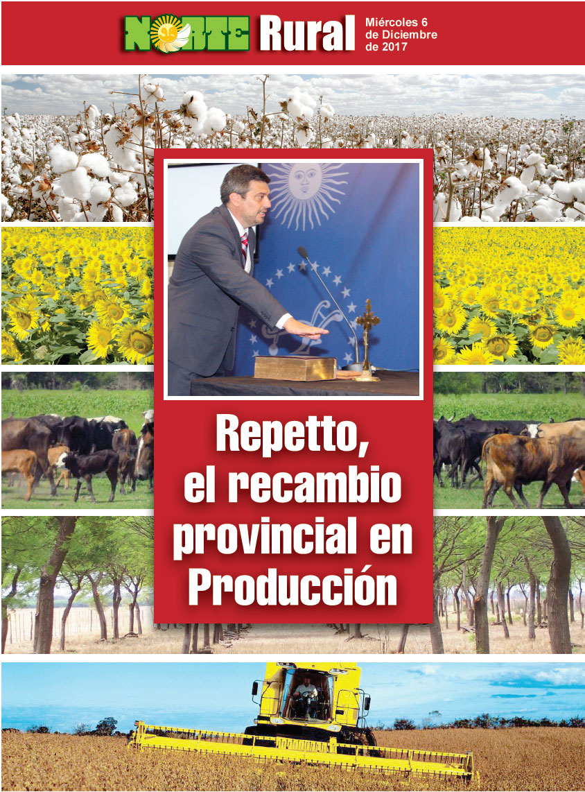 Repetto, el recambio provincial en Producción