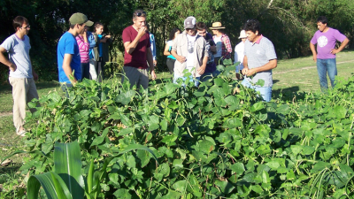 Escuela de Familia Agrícola 141, educación y compromiso con la ruralidad para la región