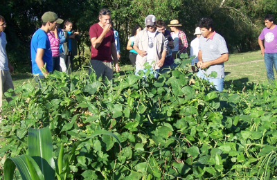 Escuela de Familia Agrícola 141, educación y compromiso con la ruralidad para la región