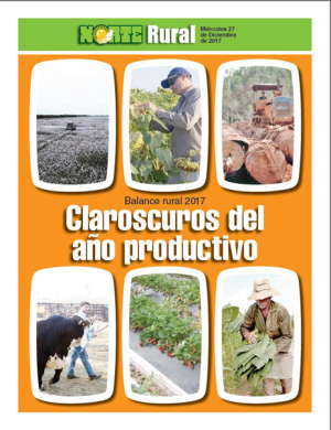 Clarooscuros del año productivo
