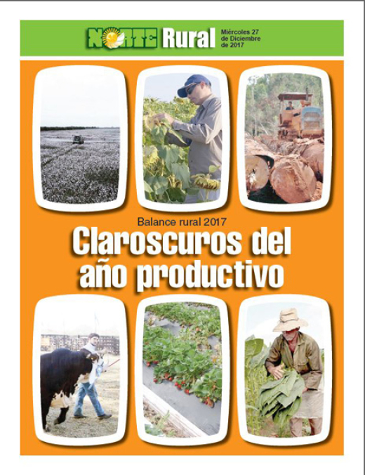 Clarooscuros del año productivo
