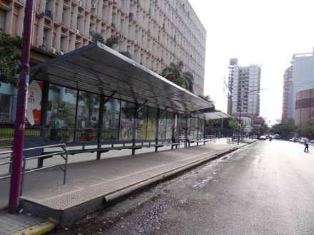 colectivos.jpg