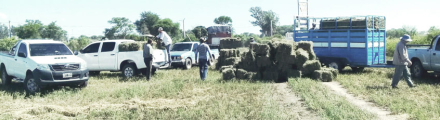 rural.jpg