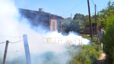 Las lluvias activan lucha contra el dengue y prevención de leishmaniasis en Sáenz Peña