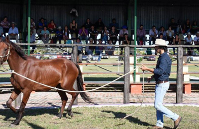 Crecen las expectativas por el Tercer Congreso Equino