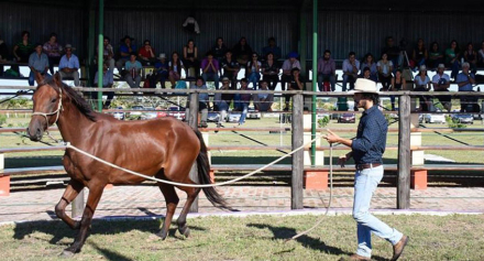 CONGRESO-EQUINO.jpg