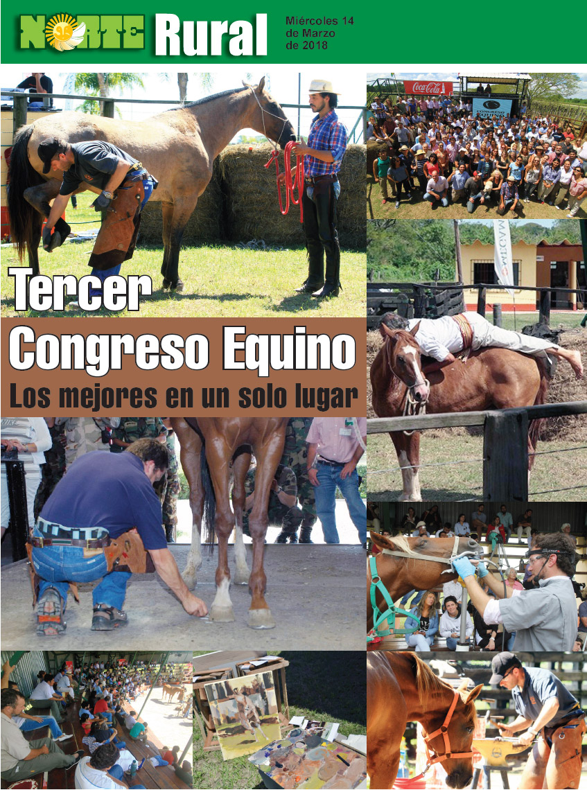 Tercer Congreso Equino
