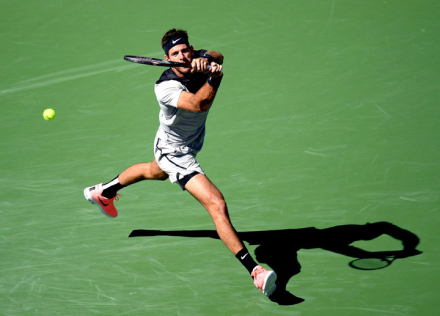 delpo2.jpg