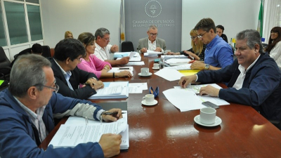Definen comisiones legislativas en la Cámara de Diputados