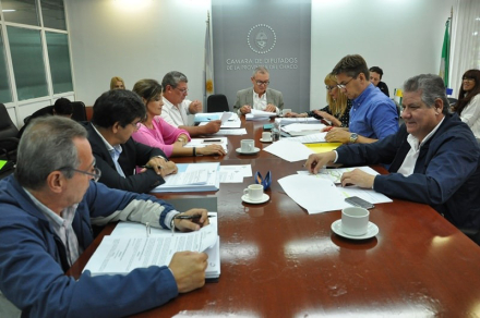 diputados 2.jpg