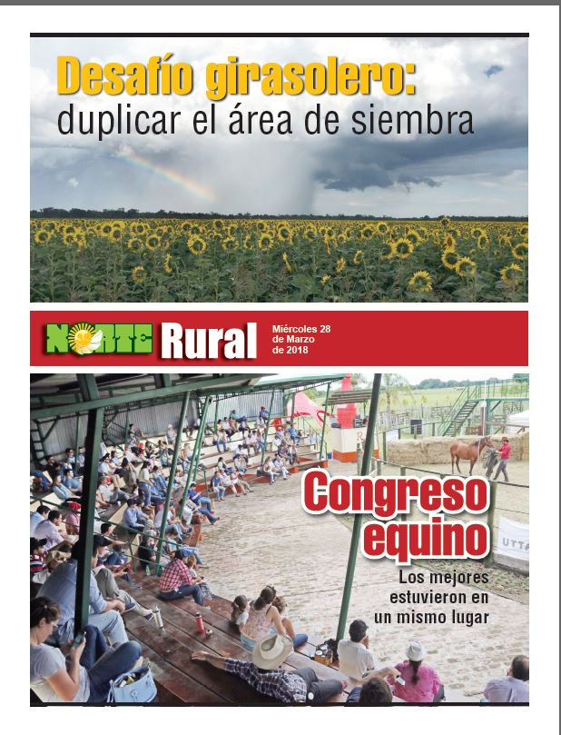 Desafío girasolero: duplicar el área de siembra