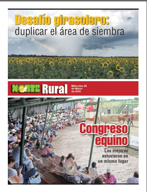 Desafío girasolero: duplicar el área de siembra