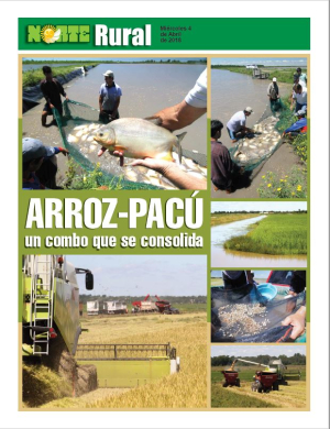 Arroz-Pacú, un combo que se consolida