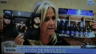 Senadora chaqueña dura durante la sesión por la intervención en el Partido Justicialista