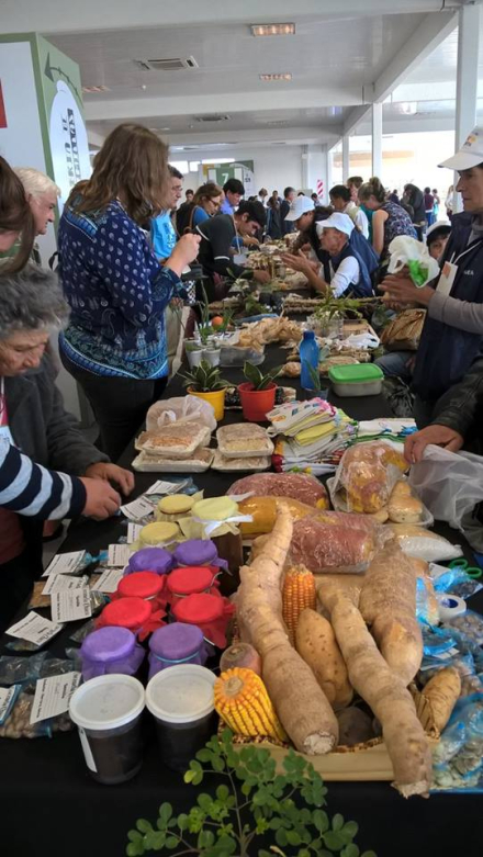 Feria de semilla 2017 (1).jpg