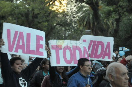 vida1.jpg