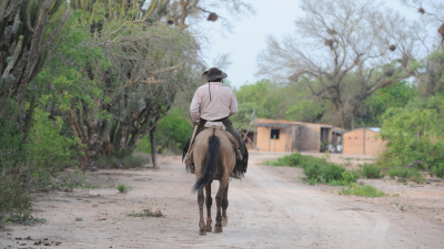 El valor del monte chaqueño