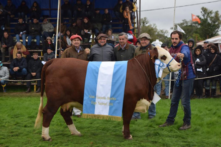 GRAN-CAMPEONA-BRAFORD.jpg