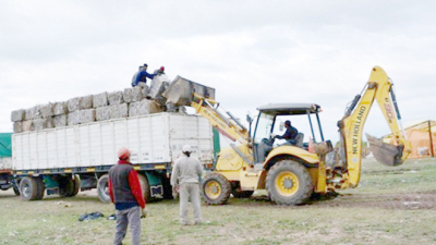 La planta de reciclado vendió más de 48 mil kilos en Villa Angela