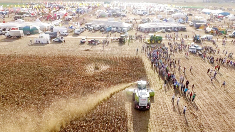El programa de la 15ª edición de Agronea