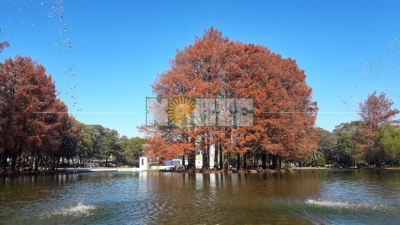 Continuarán las temperaturas cálidas
