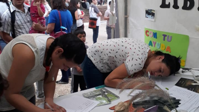 Piden se aplique sustitución de la tracción a sangre