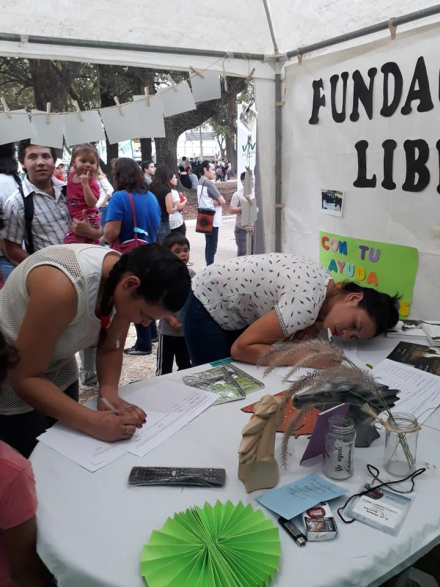 firmas.JPG