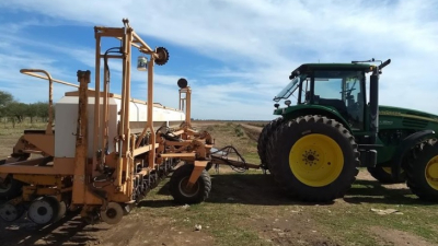 Se retoma la siembra de girasol en el Chaco con gran expectativa