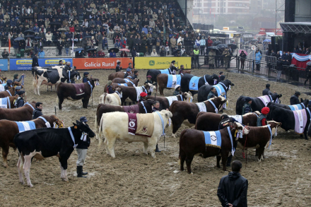 muestra rural.jpg