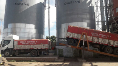 Maíz de productores chaqueños para tambos, feed lot y criaderos de pollos en el Uruguay