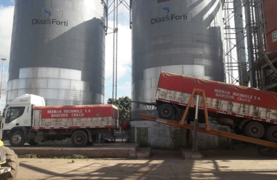 Maíz de productores chaqueños para tambos, feed lot y criaderos de pollos en el Uruguay