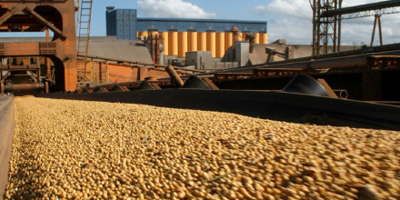 EXPORTADOR-SOJA-GRANROSARIO.jpg