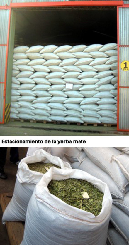 yerba2.jpg