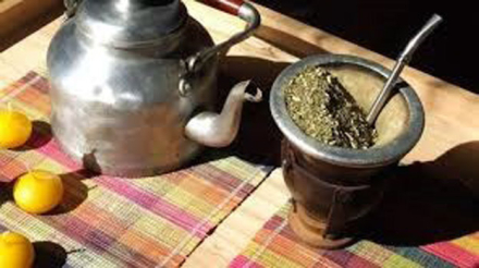 mate.jpg