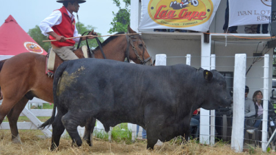 El éxito coronó un nuevo remate de Caá Cupé en Formosa