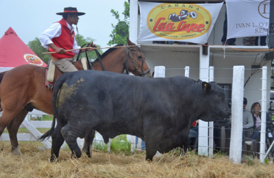 El éxito coronó un nuevo remate de Caá Cupé en Formosa