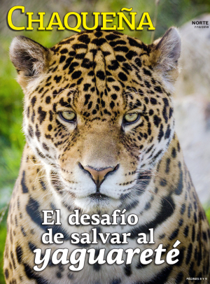 El desafío de salvar al yaguareté