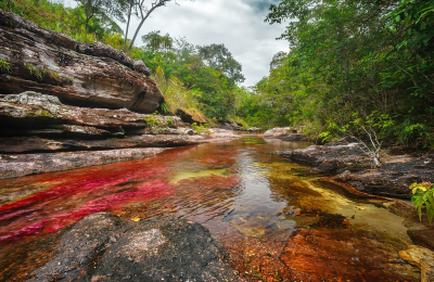 Caño Cristales: el mejor destino colombiano que no conocías