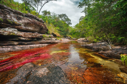 Viajes - Colombia - Caño Cristales 2.jpg