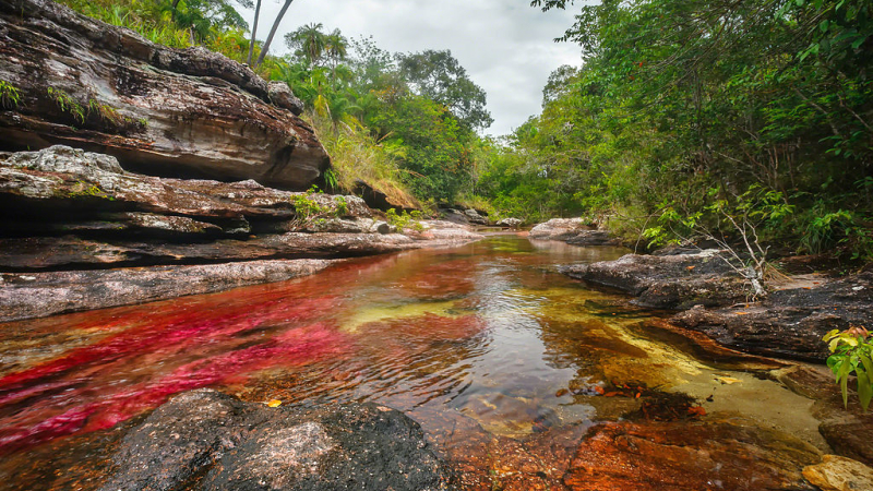 Caño Cristales: el mejor destino colombiano que no conocías