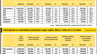 El 13,1 por ciento de los niños del NEA trabaja en al menos una actividad