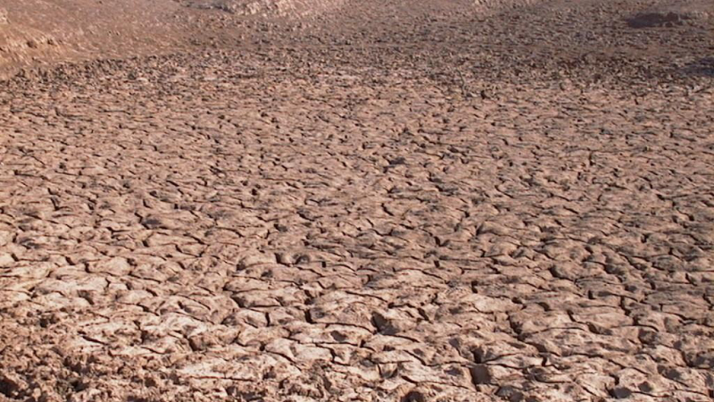 Acabar con la polución, la campaña mundial en el Día Internacional del Suelo