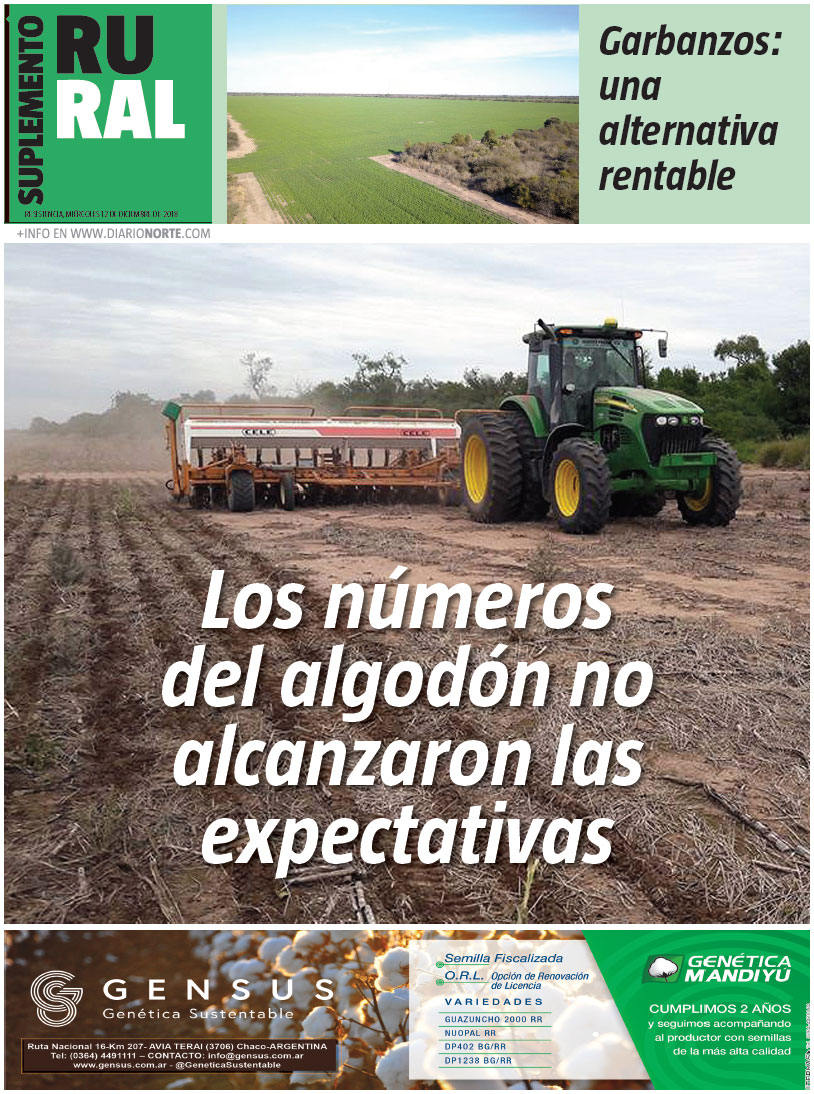 Los números del algodón no alcanzaron las expectativas