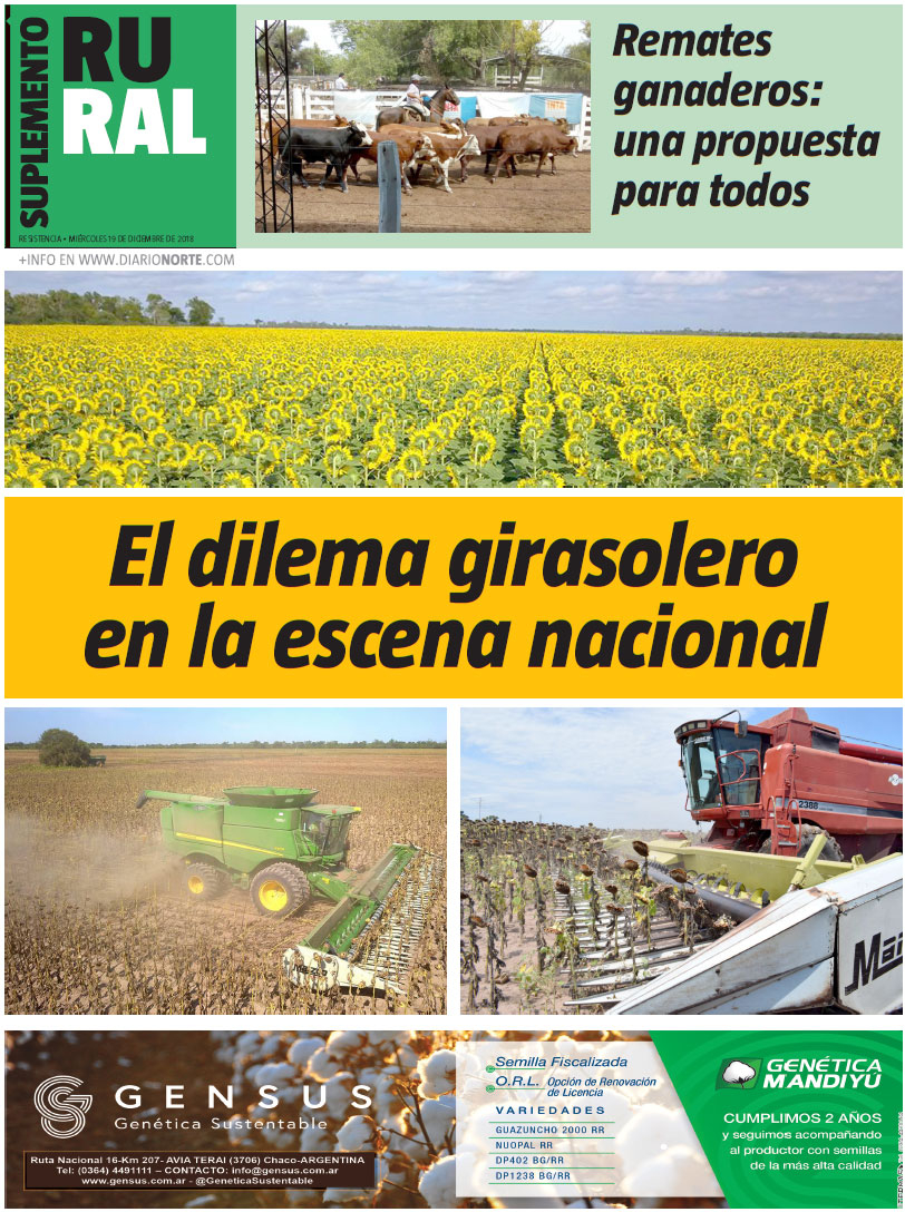 El dilema girasolero en la escena nacional