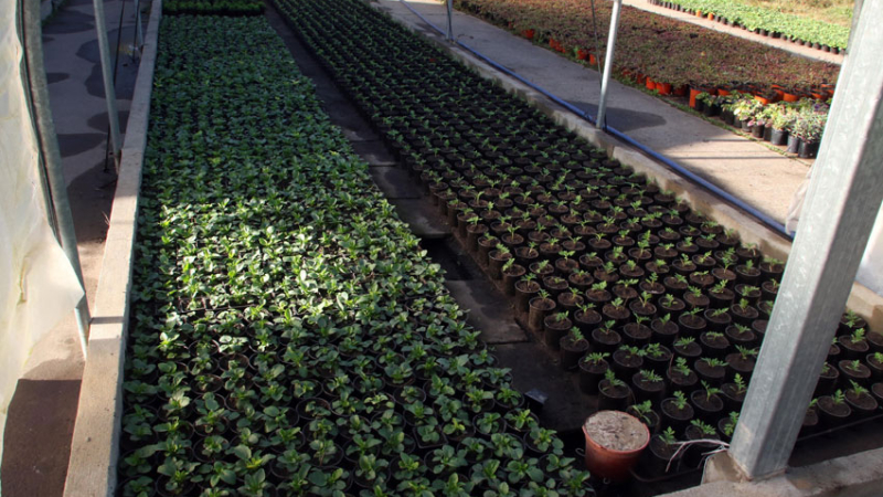 La Escuela de Jardinería firmó un nuevo acuerdo con China