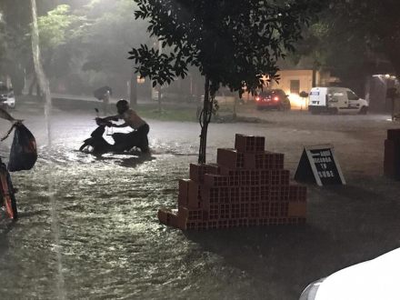 TEMPORAL.JPG