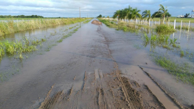 El agua traspasó los campos y complica la transitabilidad en caminos rurales
