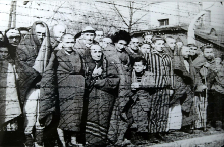 holocausto2.jpg